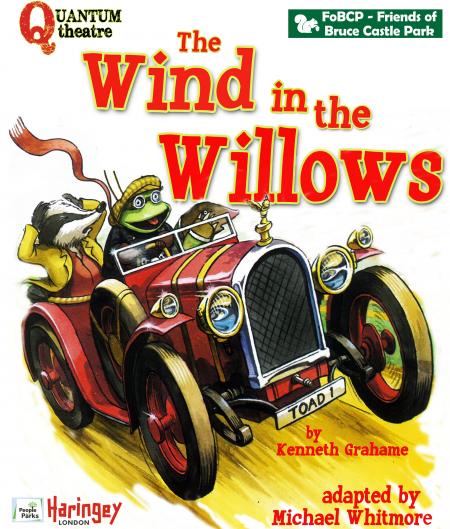 cropped wind in the willows