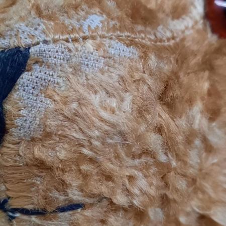 close up of a teddy bear