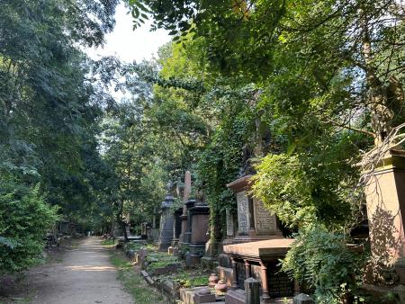 image of cemetery in woodland 