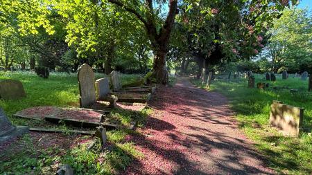 Tottenham Cemetery in spring 2025