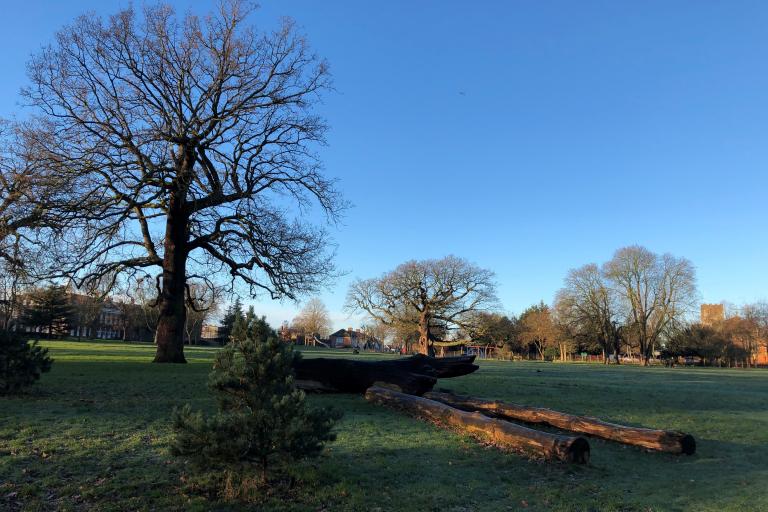 View of Bruce Castle park.