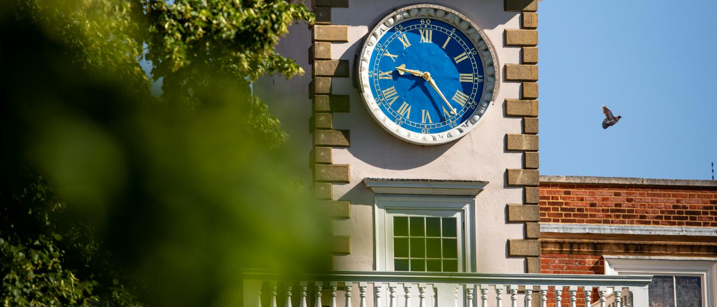 clocktower with foliage in foreground