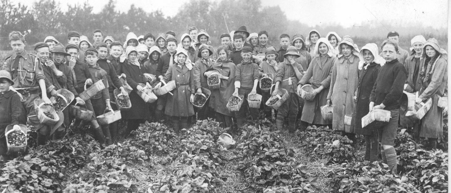 Image of group of children in early 1900s picking crops in a farm