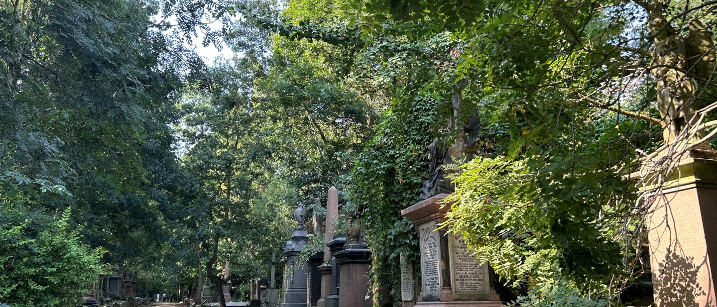 image of cemetery in woodland 