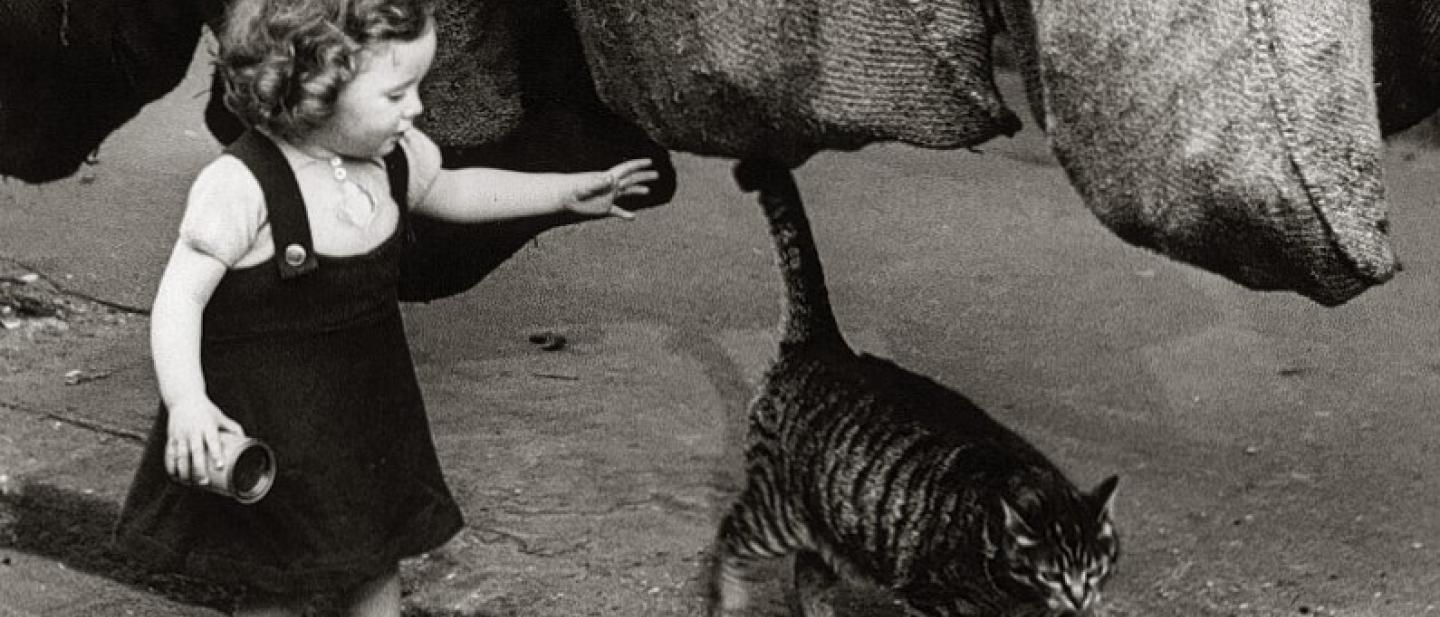 bkack and white image of girl and a cat during wartime
