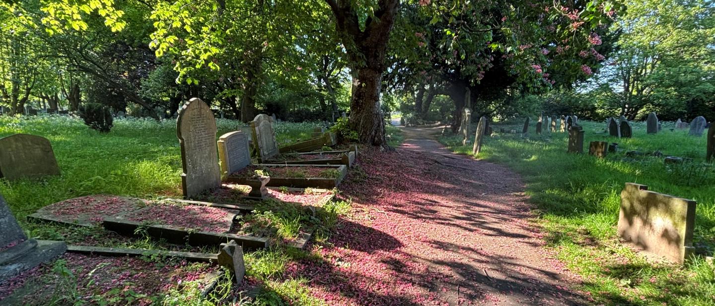 Tottenham Cemetery in spring 2025