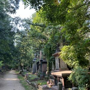 image of cemetery in woodland 